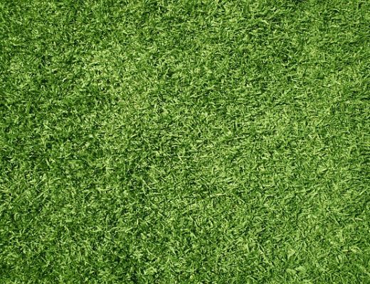 Best Artificial Grass Singapore